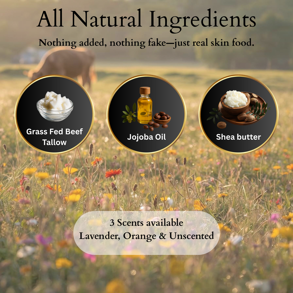 100%  Grass Fed Tallow & Shea Butter  - Unscented ( WIPPED )